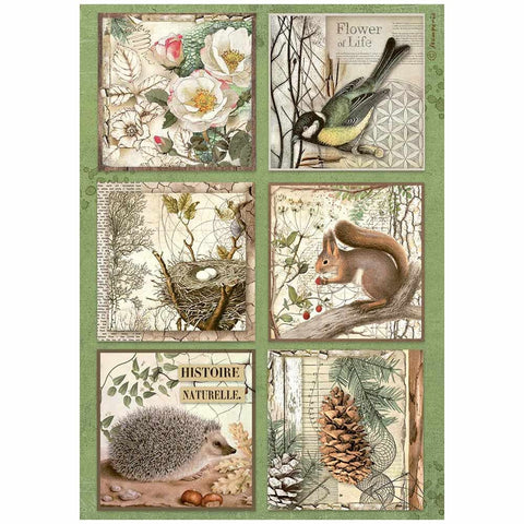 Forest - Stamperia - A4 Rice Paper - 6 Cards (7729)