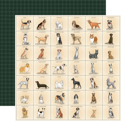 Best In Show - Carta Bella - Double-Sided Cardstock 12"X12" - Best Friend Breeds