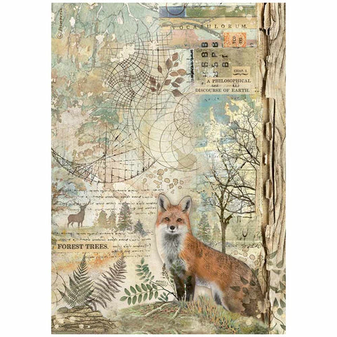 Forest - Stamperia - A4 Rice Paper - Fox (7712)