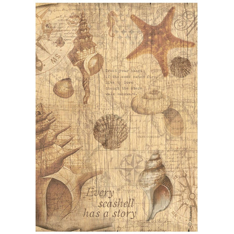 Sea Land - Stamperia - A4 Rice Paper - Shells (3622)
