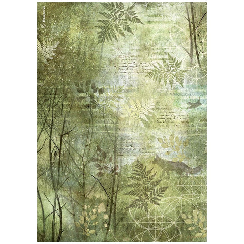 Forest - Stamperia - A4 Rice Paper - Trees (7743)