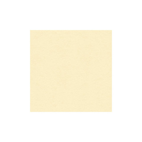 My Colors - Classic 80lb Cover Weight 12"X12" - Ivory (6000)